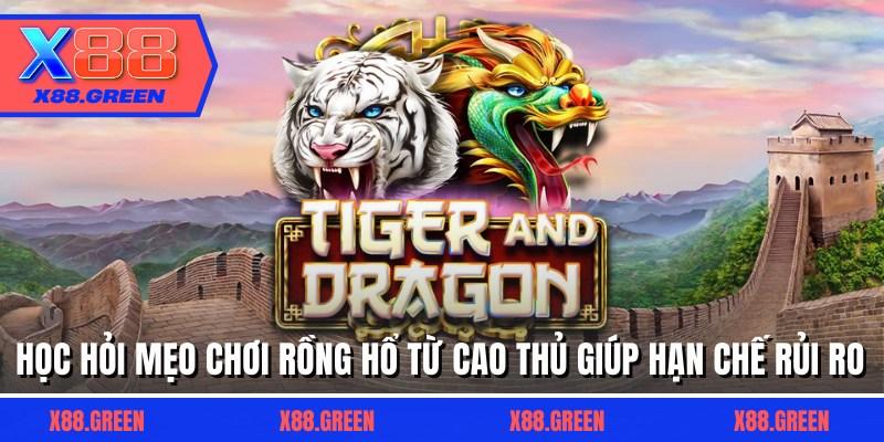 Học hỏi mẹo chơi rồng hổ từ cao thủ giúp hạn chế rủi ro